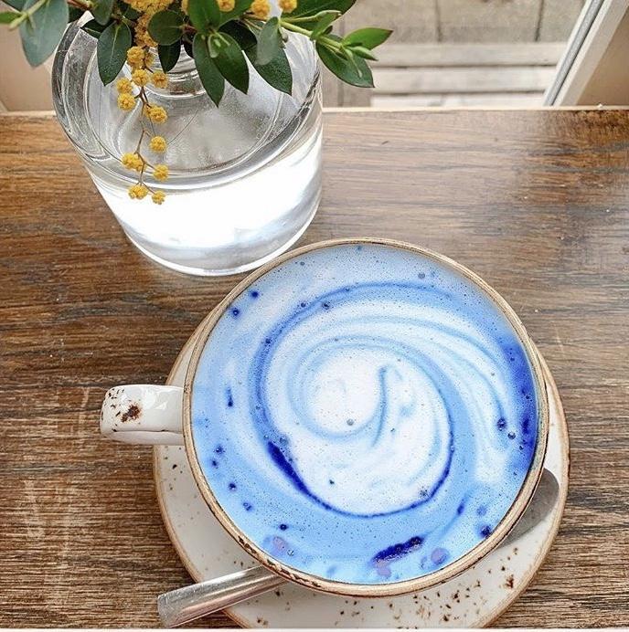 Spotlight on Blue Majik! - The Garden Eatery