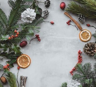 Winter Wellness - The Garden Eatery