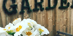 New Year - New Anxiety - The Garden Eatery
