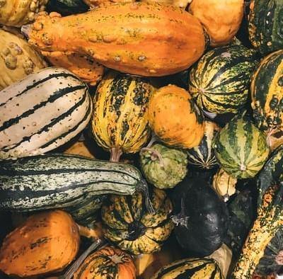 Why Eat Seasonal? - The Garden Eatery