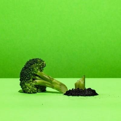 How does what we eat affect the planet? - The Garden Eatery