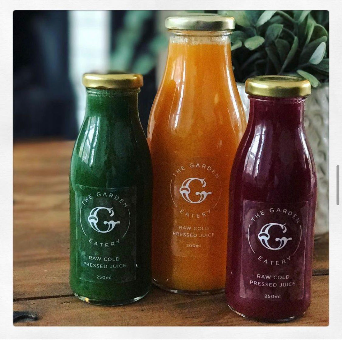 Juice or Smoothie...or both? - The Garden Eatery