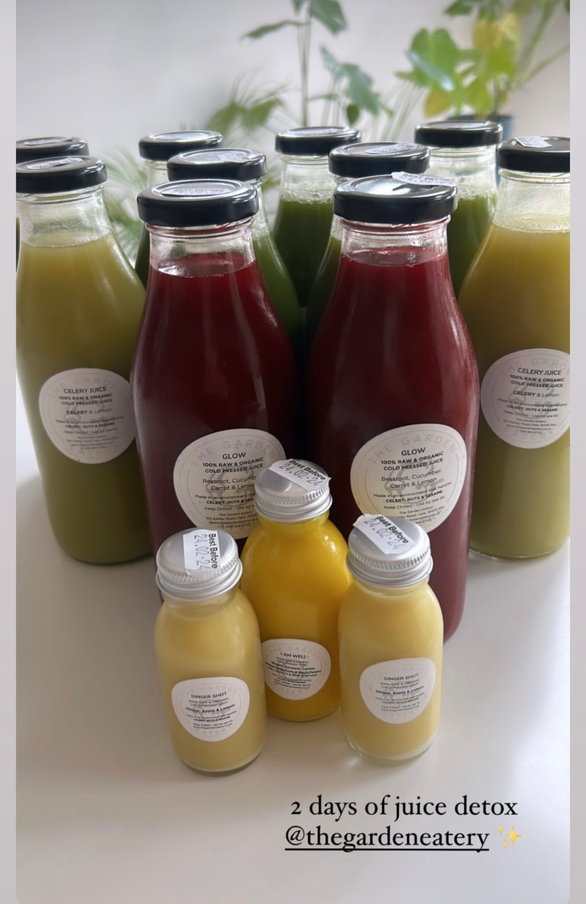 Organic Cold Pressed Juice Cleanse
